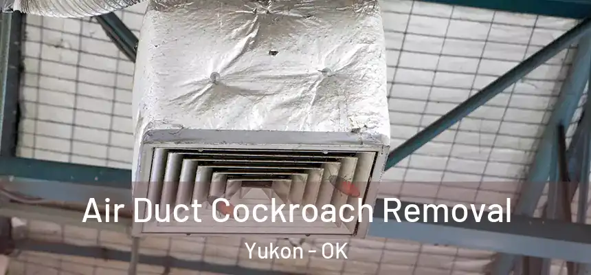 Air Duct Cockroach Removal Yukon - OK
