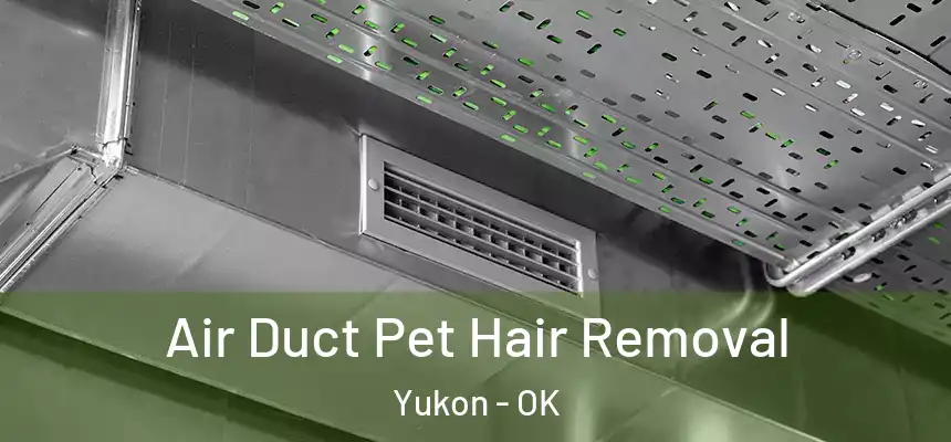  Air Duct Pet Hair Removal Yukon - OK