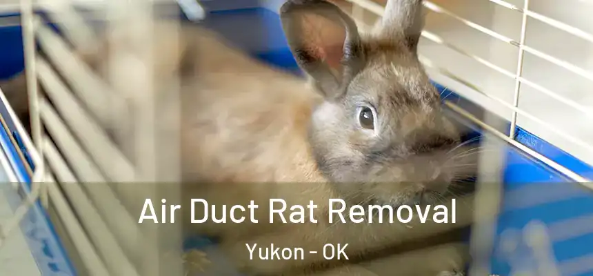  Air Duct Rat Removal Yukon - OK