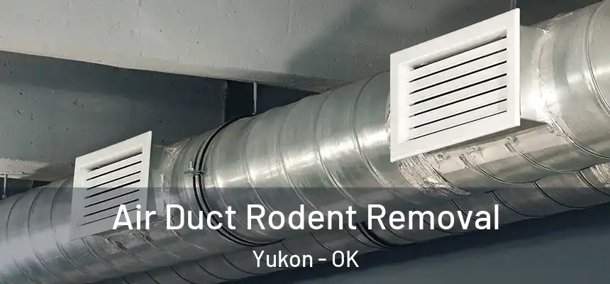  Air Duct Rodent Removal Yukon - OK