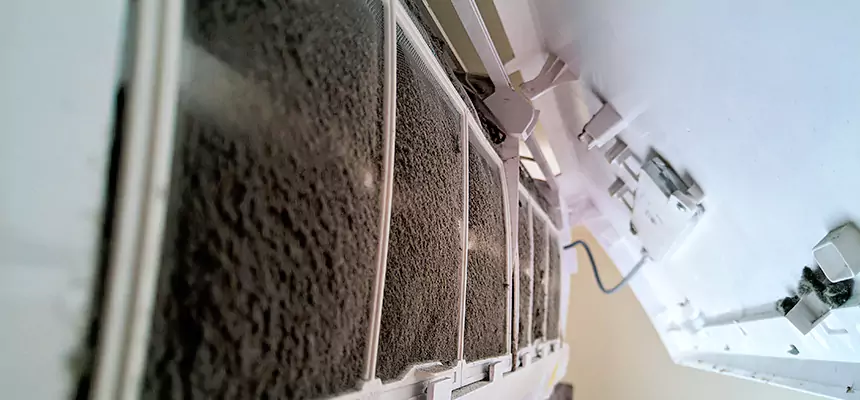 Preventive Air Duct Bacteria Removal in Yukon