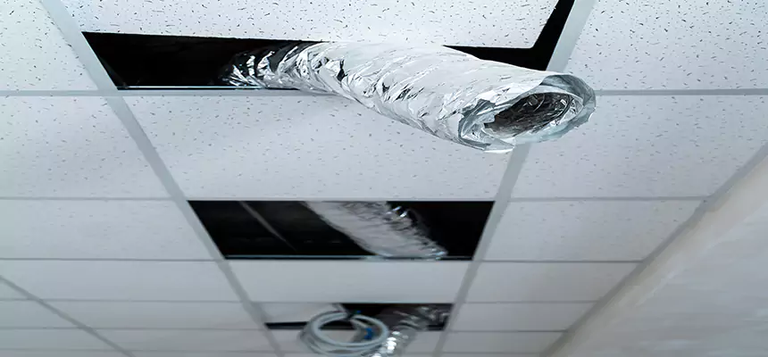 Affordable HVAC Sanitizing After Pest Removal in Yukon