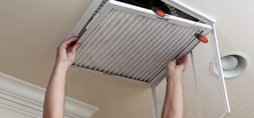 Our Insect Removal from Air Ducts Services in Yukon, OK