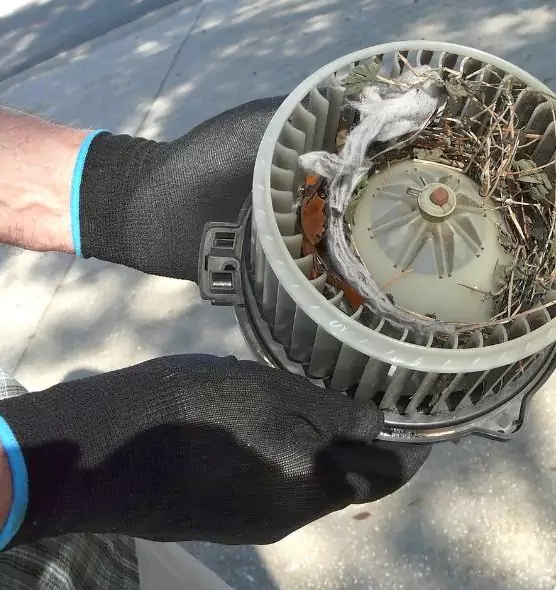 About Air Duct Rat Removal in Yukon, OK