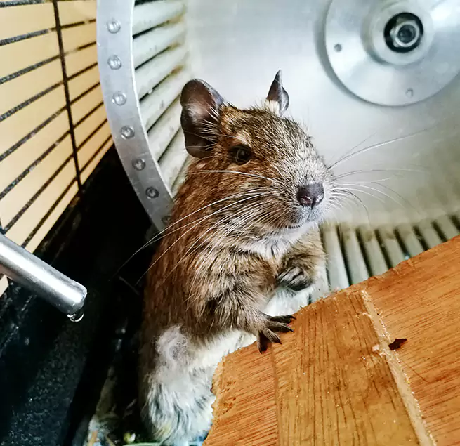 Why Homeowners & Businesses Trust Us Yukon, OK